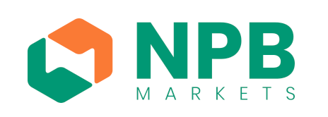 NPBFX (NPB Markets) — логотип
