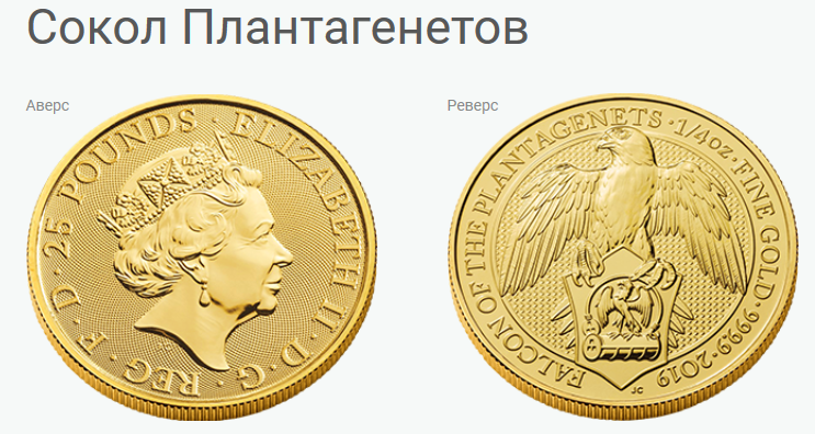 золотая монета сокол Плантагенетов.png