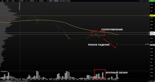 volume-gbp-mini.jpg