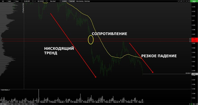 volume-euro-mini.jpg