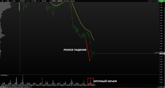 volume-euro-mini.jpg