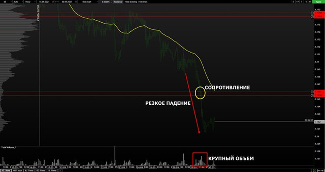 volume-euro-mini.jpg