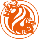 www.fxopen.com