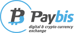 PayBisLogo.png